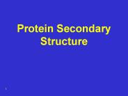 Protein%20Secondary%20Structure