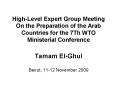 High-Level Expert Group Meeting On the Preparation of the Arab Countries for the 7Th WTO Ministerial Conference PowerPoint PPT Presentation