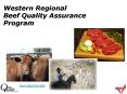 Western Regional Beef Quality Assurance Program PowerPoint PPT Presentation