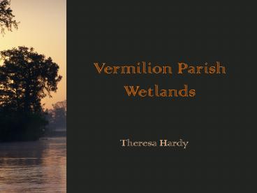 Vermilion Parish Wetlands