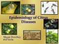 Epidemiology of Citrus Diseases PowerPoint PPT Presentation