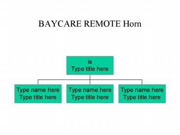 BAYCARE REMOTE Horn