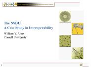 The NSDL: