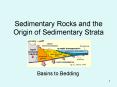 Sedimentary Rocks and the Origin of Sedimentary Strata PowerPoint PPT Presentation
