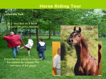 Horse Riding Tour