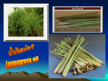 Lemongrass oil
