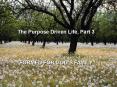 The Purpose Driven Life, Part 3 PowerPoint PPT Presentation
