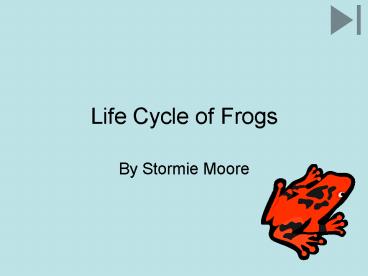 Life Cycle of Frogs