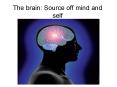 The brain: Source off mind and self PowerPoint PPT Presentation