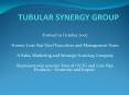 TUBULAR SYNERGY GROUP PowerPoint PPT Presentation
