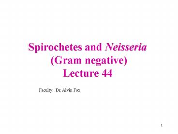 Spirochetes and Neisseria Gram negative Lecture 44