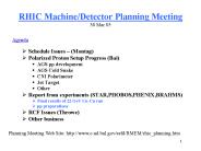 RHIC Machine/Detector Planning Meeting 30 Mar 05