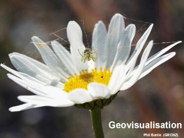 Geovisualisation