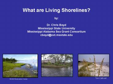 What are Living Shorelines