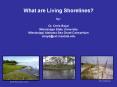 What are Living Shorelines PowerPoint PPT Presentation