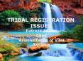 TRIBAL REGISTRATION ISSUES PowerPoint PPT Presentation