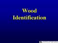 Wood Identification PowerPoint PPT Presentation