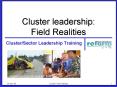 Cluster leadership: Field Realities PowerPoint PPT Presentation