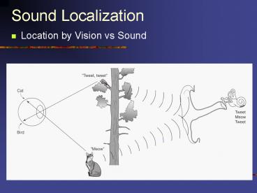 presentation player overlay
