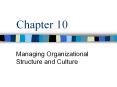 Managing Organizational Structure and Culture PowerPoint PPT Presentation