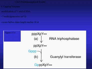 Ch15 Posttranscriptional Events