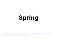Spring