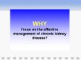 WHY focus on the effective management of chronic kidney disease PowerPoint PPT Presentation