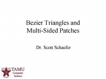 Dr' Scott Schaefer