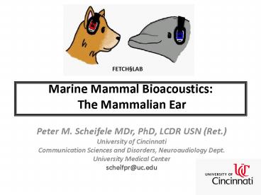 Marine Mammal Bioacoustics: The Mammalian Ear