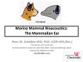 Marine Mammal Bioacoustics: The Mammalian Ear PowerPoint PPT Presentation