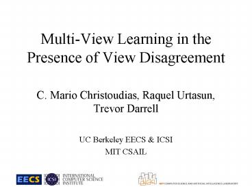 MultiView Learning in the Presence of View Disagreement