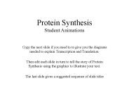 Protein Synthesis Student Animations