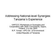 Addressing National-level Synergies: Tanzania