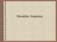 Shoulder Anatomy PowerPoint PPT Presentation