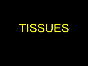 TISSUES