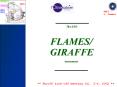 FLAMES/GIRAFFE:   Euro3D, kickoff meeting, instr. PowerPoint PPT Presentation