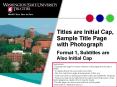 Format 1, Subtitles are Also Initial Cap PowerPoint PPT Presentation