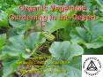 Organic Vegetable Gardening in the Desert PowerPoint PPT Presentation