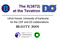 The X3872 at the Tevatron