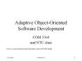 Adaptive Object-Oriented Software Development PowerPoint PPT Presentation