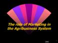 The role of Marketing in the Agribusiness System PowerPoint PPT Presentation