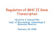 Regulation%20of%20MHC%20II%20Gene%20Transcription
