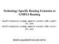 Technology Specific Routing Extension to GMPLS Routing  draft-mannie-ccamp-gmpls-sonet-sdh-ospf-01.txt draft-mannie-ccamp-gmpls-sonet-sdh-isis-00.txt PowerPoint PPT Presentation