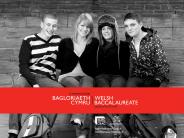 Curriculum Framework