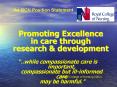 Promoting Excellence in care through research PowerPoint PPT Presentation