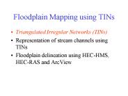 Floodplain Mapping using TINs