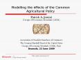 Modelling the effects of the Common Agricultural Policy PowerPoint PPT Presentation