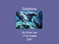 Dolphins PowerPoint PPT Presentation
