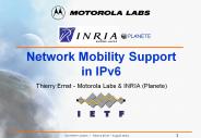 Network Mobility Support in IPv6