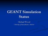 GEANT Simulation Status